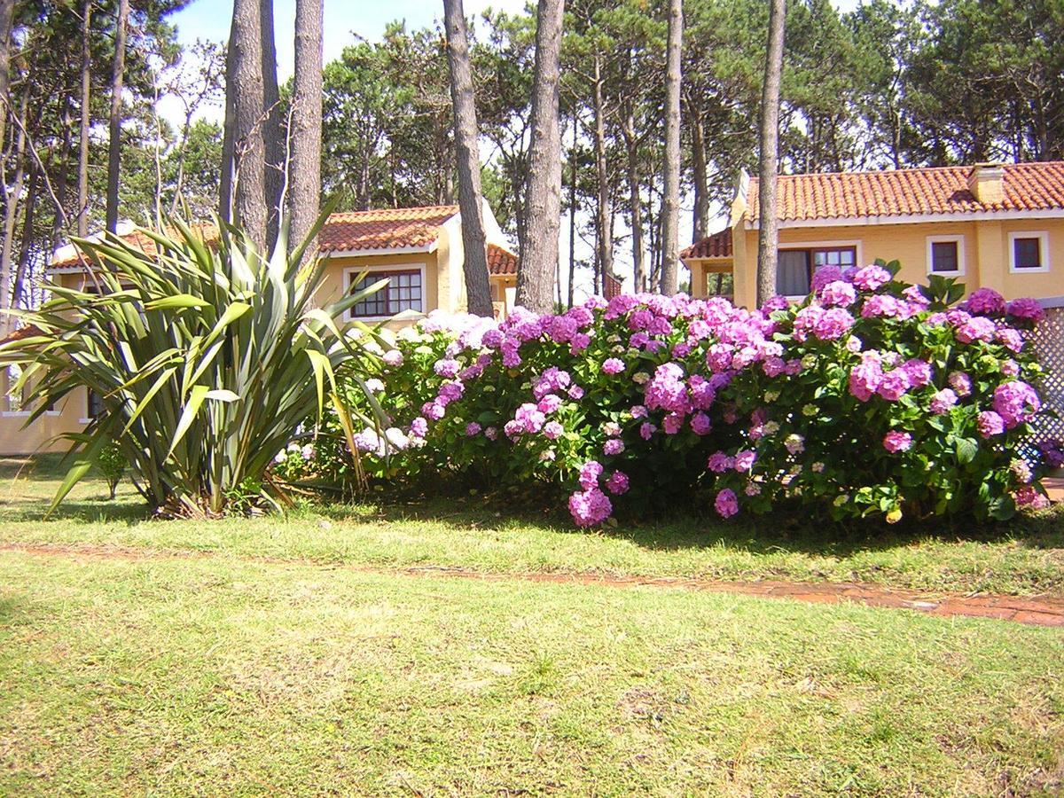 Pino Dorado Aparthotel Manantiales Buitenkant foto
